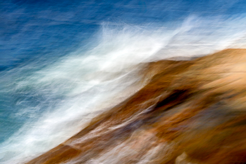 Color and Movement in Nature